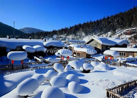 海林到雪鄉怎麼走？雪鄉的美，不只在雪中